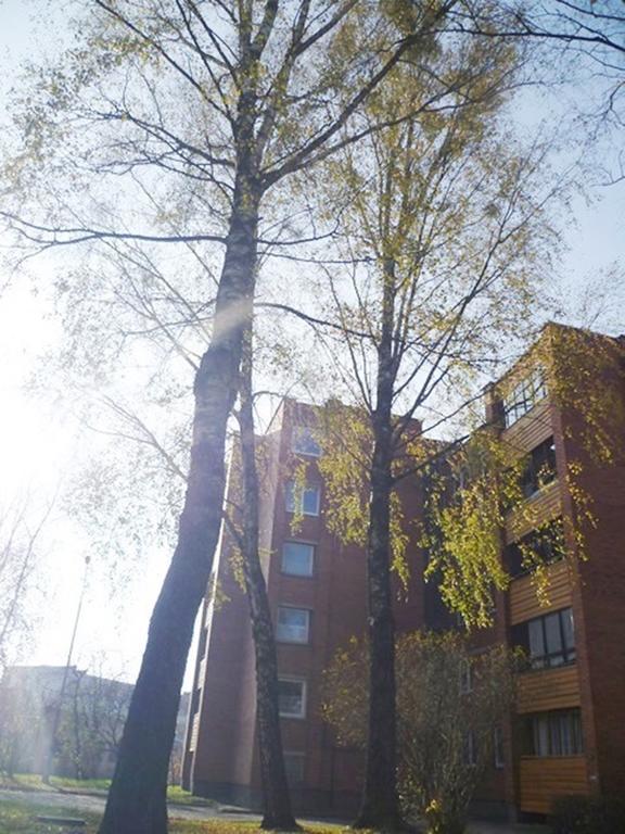 Saulys1 Druskininkai Quarto foto